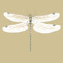 Sophie Allport Dragonfly Made to Measure Roller Blind Deep Mustard Sample Image