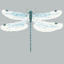 Sophie Allport Dragonfly Made to Measure Roman Blind Grey Blue Sample Image