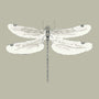 Sophie Allport Dragonfly Made to Measure Roman Blind Sand Sample Image