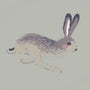 Sophie Allport Hare Made to Measure Roman Blind Dove Sample Image