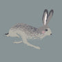 Sophie Allport Hare Made to Measure Roman Blind Teal Blue Sample Image