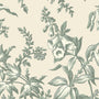 Laura Ashley Picardie Translucent Made to Measure Roller Blind Sage Sample Image