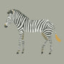 Sophie Allport Zebra Made to Measure Roman Blind Sage Grey Sample Image