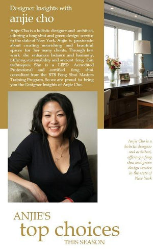 Designer insights with Anjie Cho