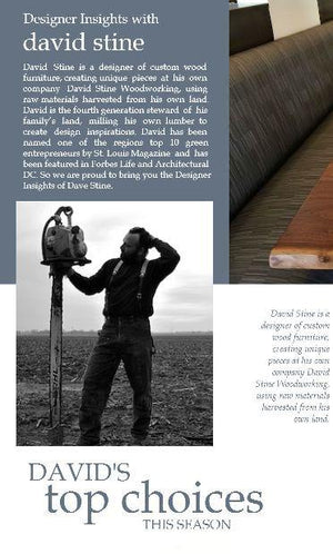 Designer insights with David Stine