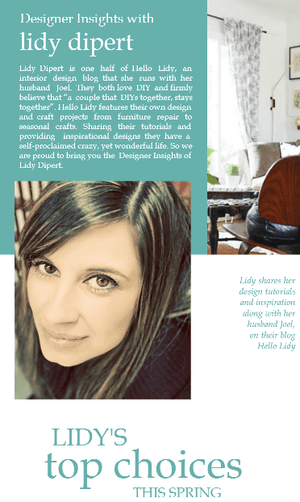 Designer insights with Lidy Dipert