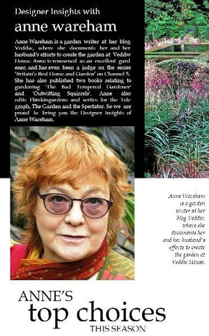 Designer insights with Anne Wareham