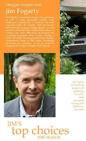 Designer insights with Jim Fogarty