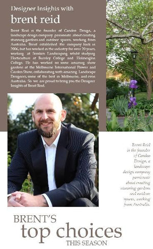 Designer insights with Brent Reid