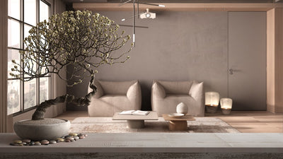 Feng shui living room ideas for your home