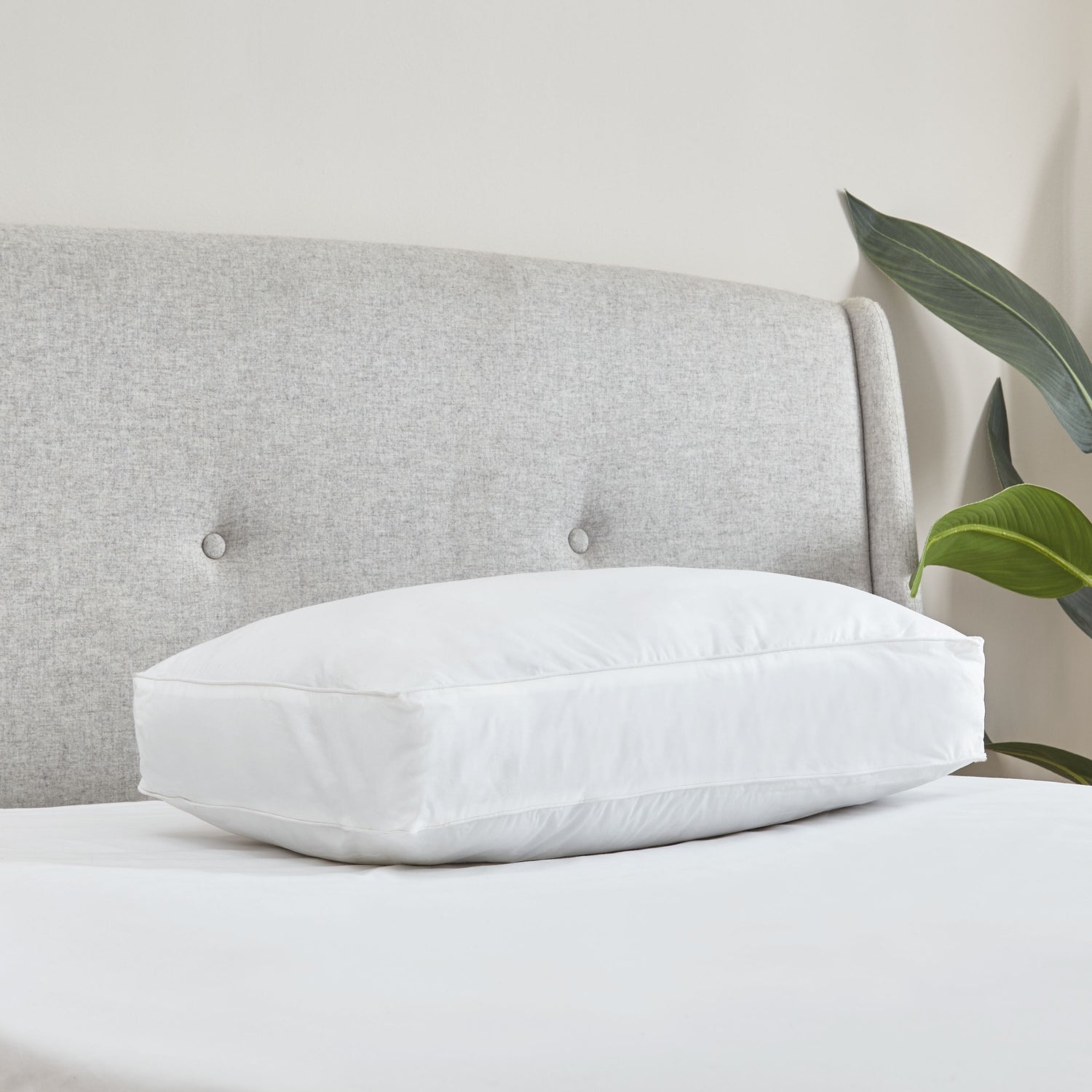 Catherine Lansfield Luxury Box Cotton 40cm x 60cm x 10cm Pillow White