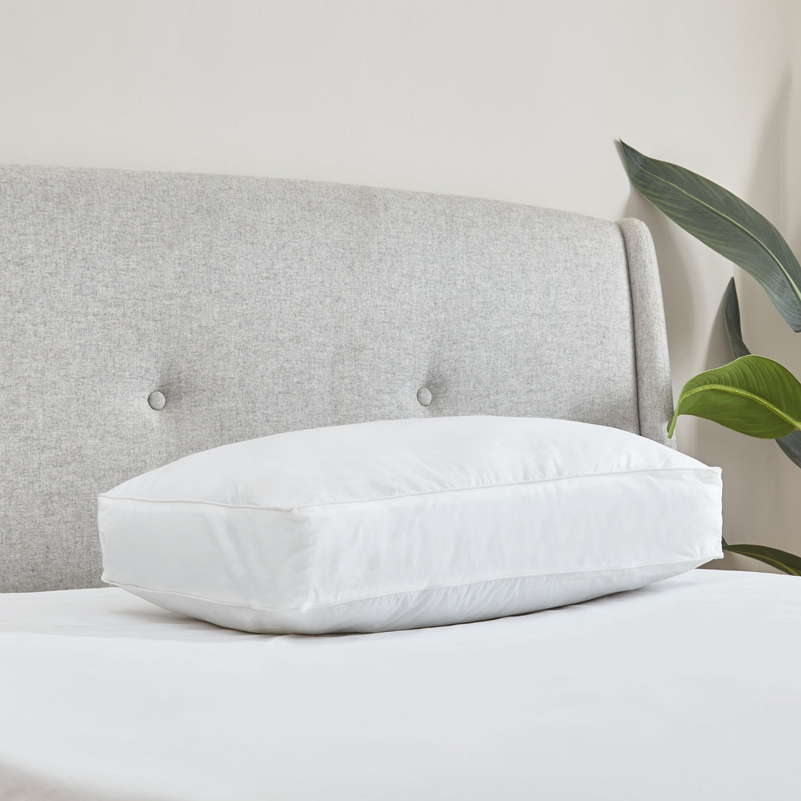 Catherine Lansfield Luxury Box Cotton 40cm x 60cm x 10cm Pillow White