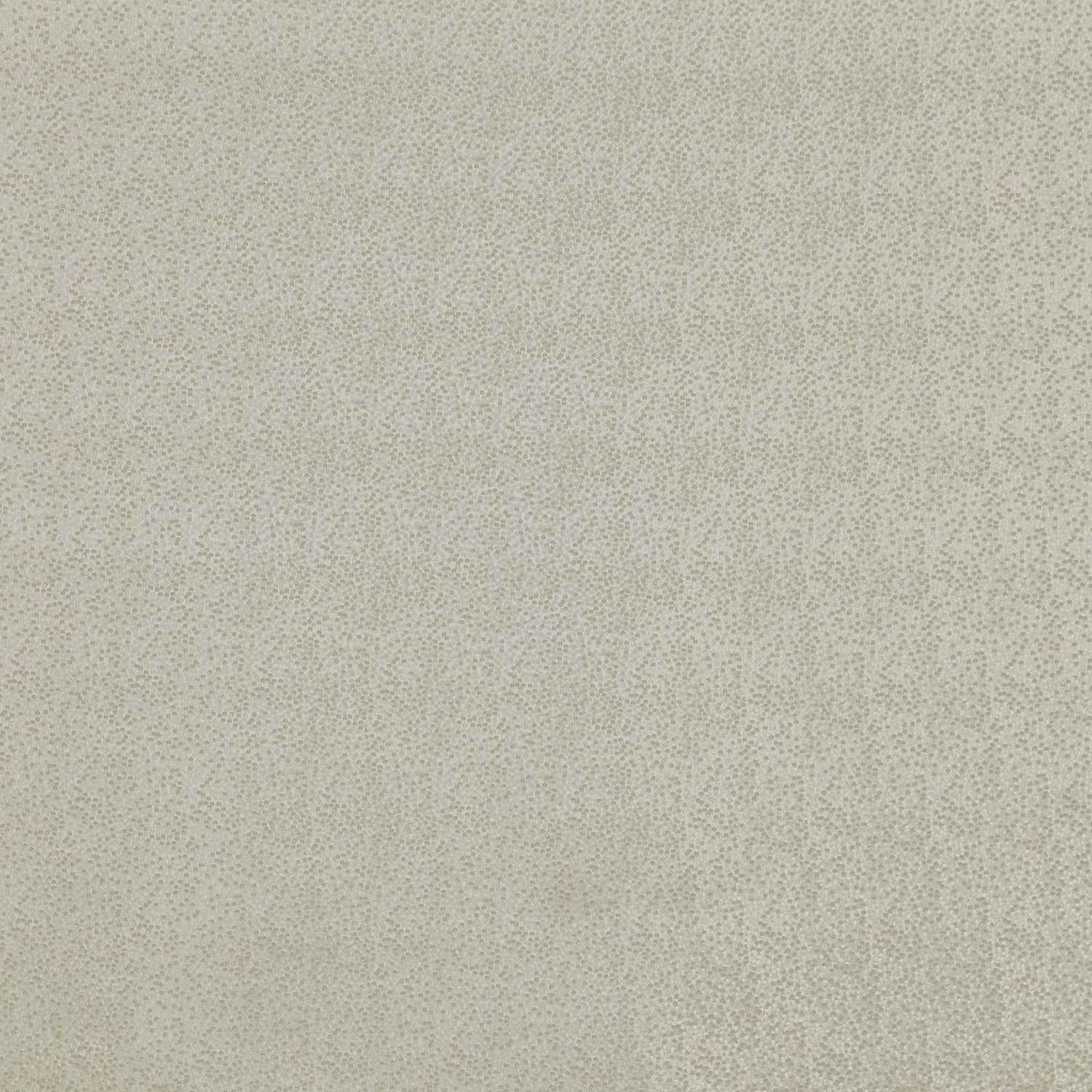 Prestigious Textiles Ozzy Jacquard Fabric Ecru