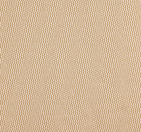 Prestigious Textiles Finsbury Fabric Honey