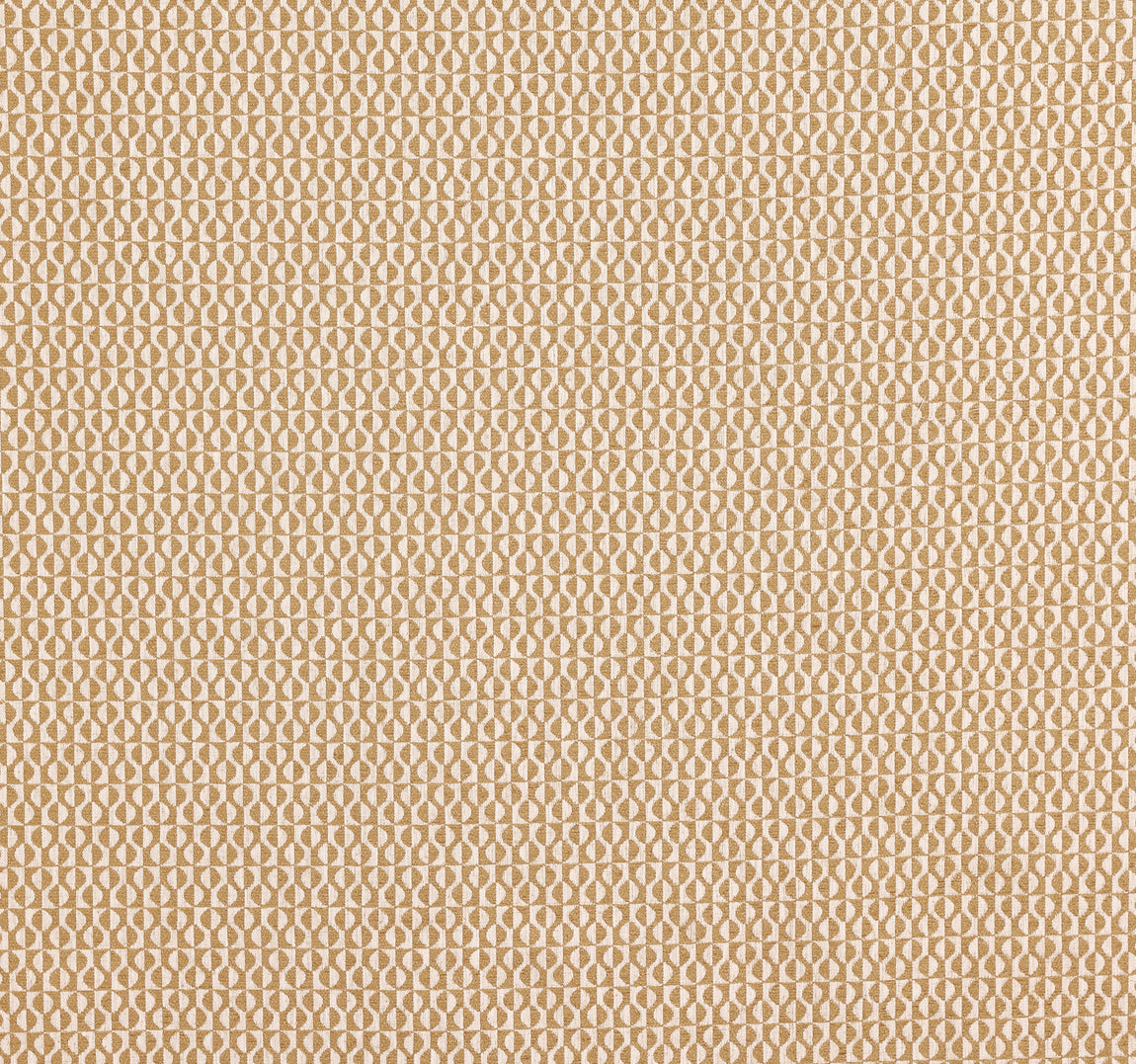 Prestigious Textiles Finsbury Fabric Honey