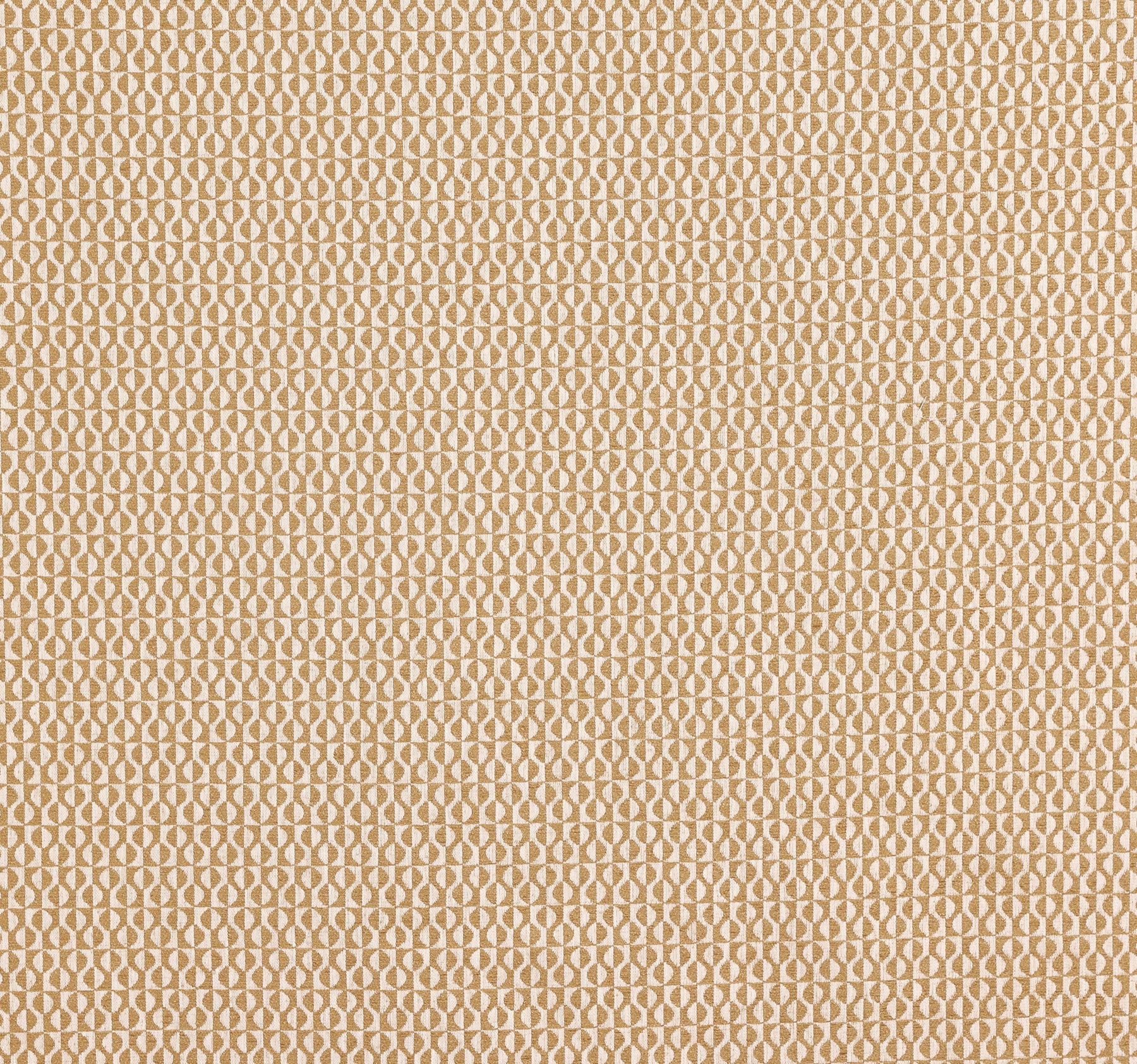 Prestigious Textiles Finsbury Fabric Honey