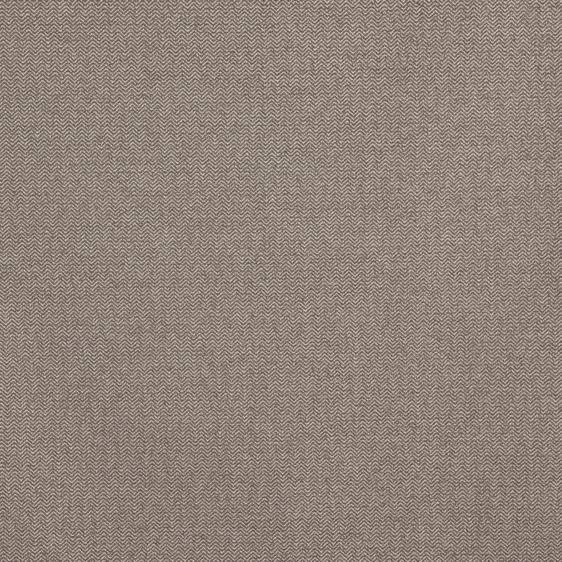 Prestigious Textiles Hackney Fabric Acorn