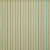 Prestigious Textiles Kitwana Fabric Cactus