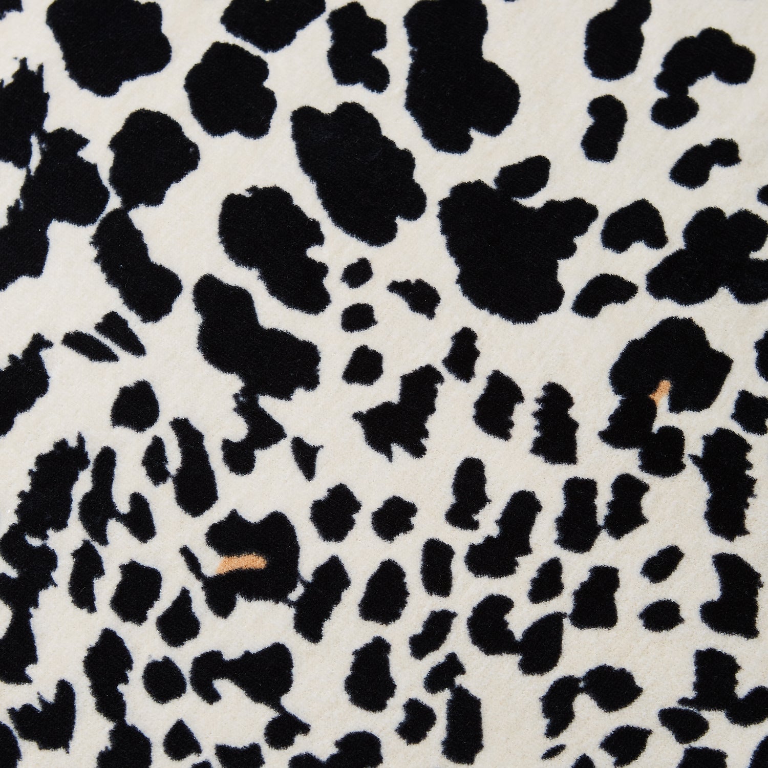 Catherine Lansfield Leopard Absorbent Beach Towel Natural