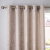 Catherine Lansfield Damask Jacquard Ready Made Eyelet Curtains Champagne