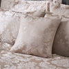 Catherine Lansfield Damask Jacquard Filled Cushion 43cm x 43cm Champagne