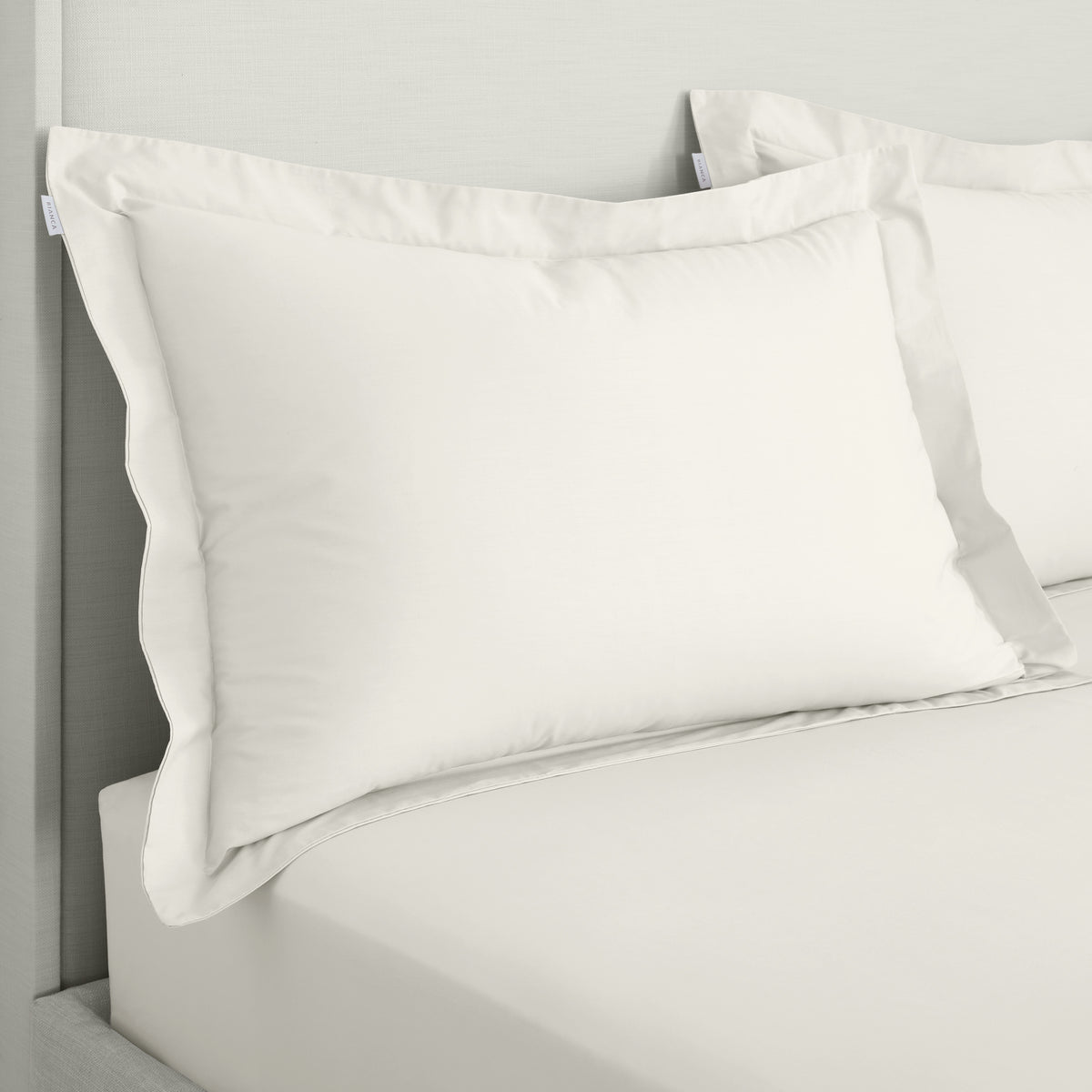Bianca 200 Thread Count Cotton Percale Pair of Oxford Pillowcases Cream