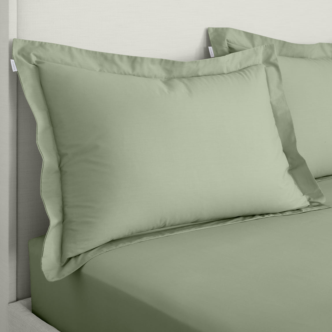Bianca 200 Thread Count Cotton Percale Pair of Oxford Pillowcases Sage