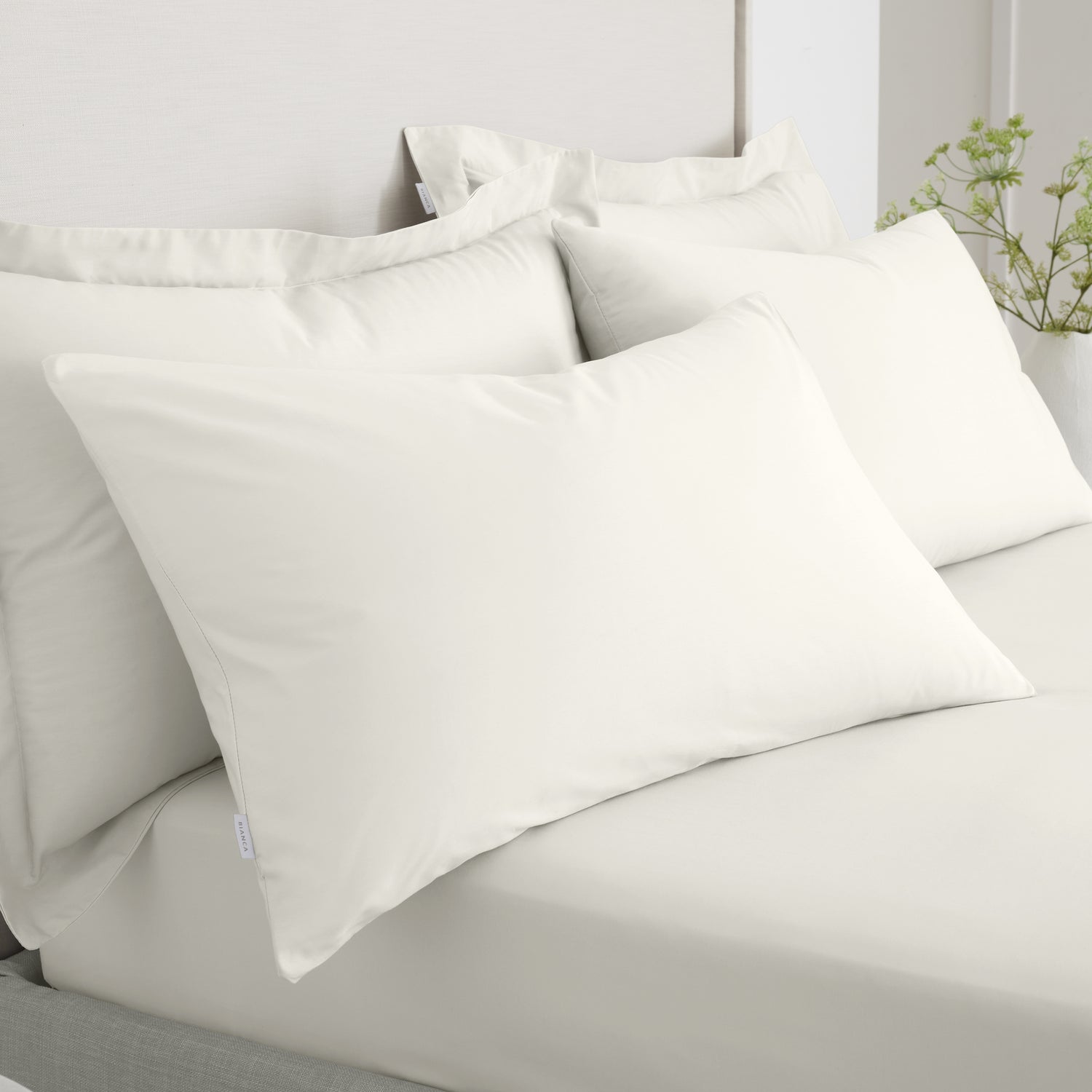 Bianca 200 Thread Count Cotton Percale Pair of Housewife Pillowcases Cream