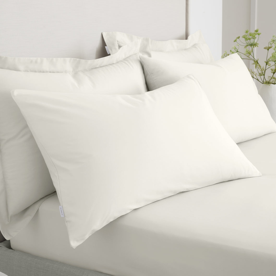 Bianca 200 Thread Count Cotton Percale Pair of Housewife Pillowcases Cream