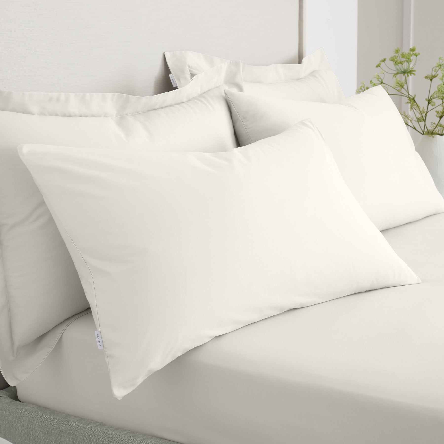 Bianca 200 Thread Count Cotton Percale Extra Deep Pair of Housewife Pillowcases Cream