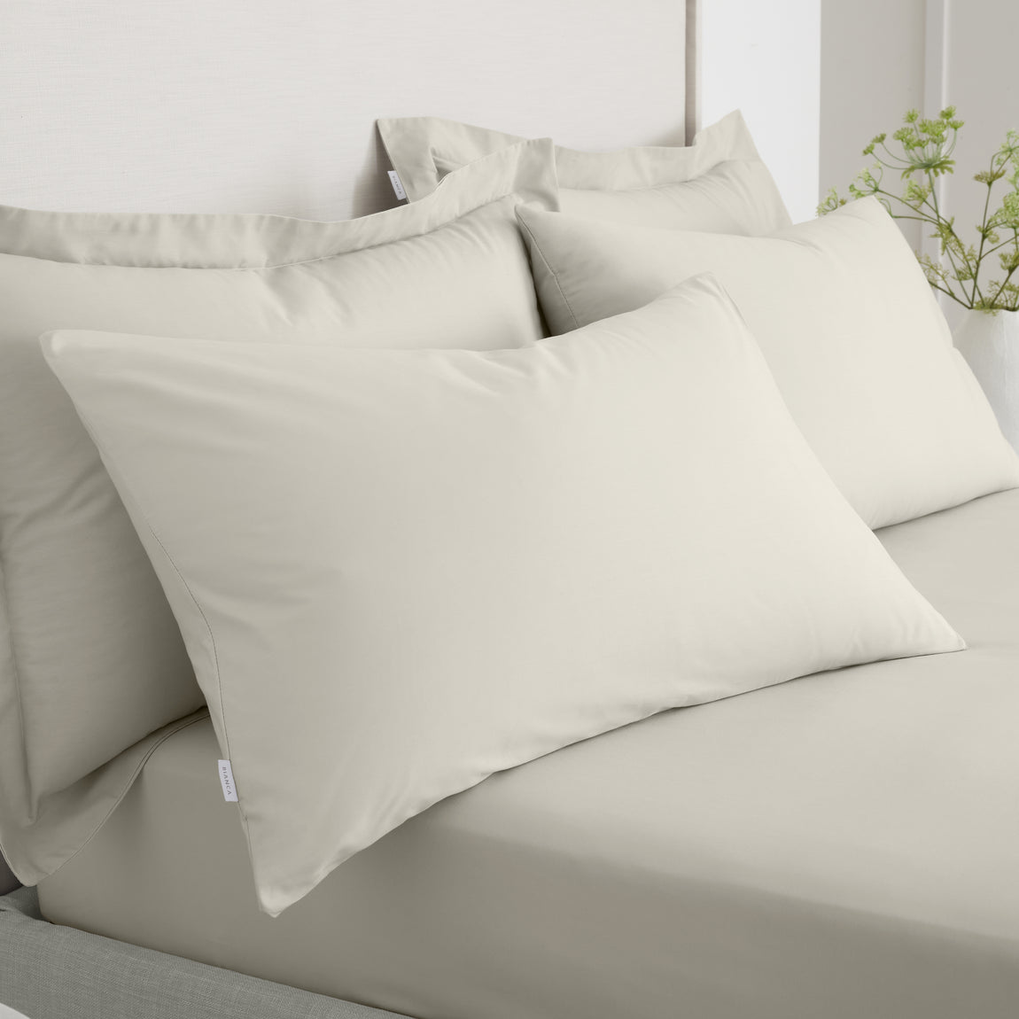 Bianca 200 Thread Count Cotton Percale Pair of Housewife Pillowcases Natural