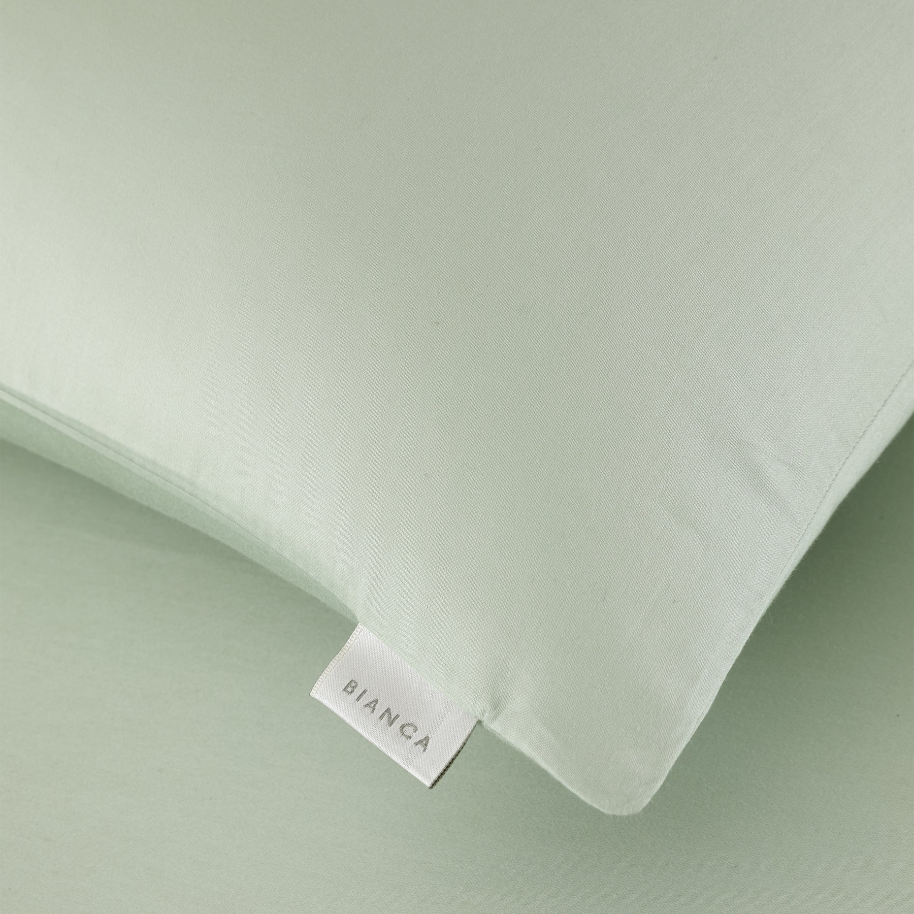Bianca 400 Thread Count Cotton Sateen Pair of Housewife Pillowcases Green