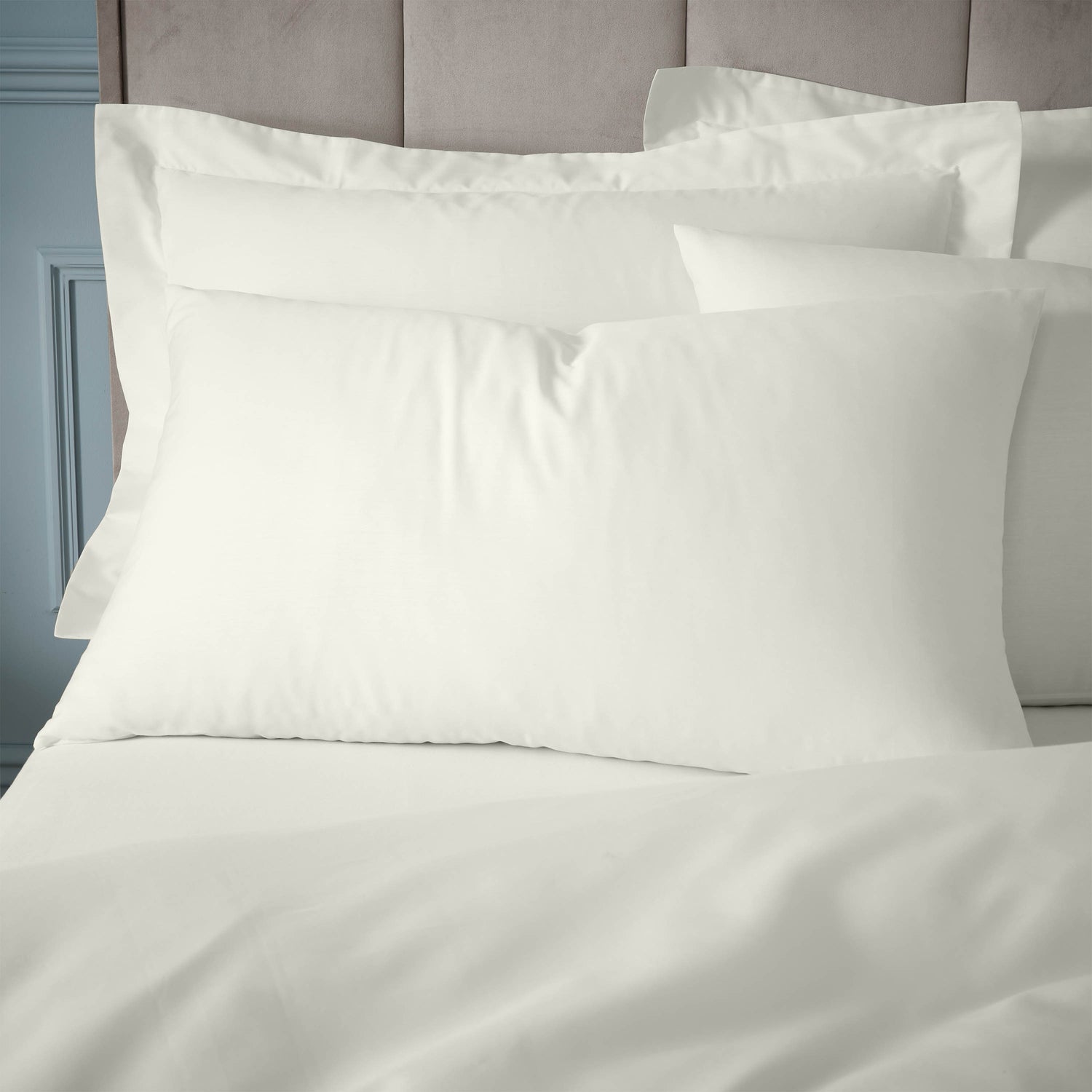 Bianca 180 Thread Count Egyptian Cotton Pillowcase Cream