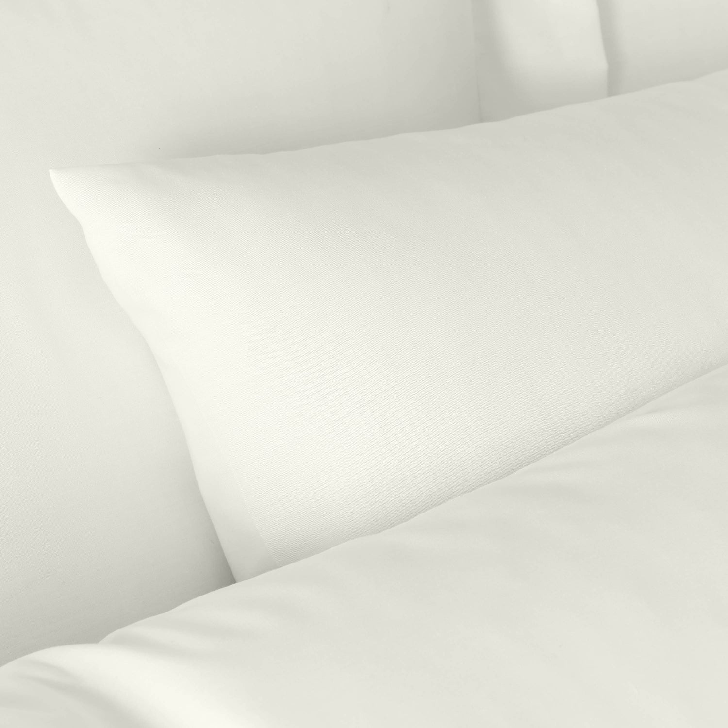 Bianca 180 Thread Count Egyptian Cotton Pillowcase Cream