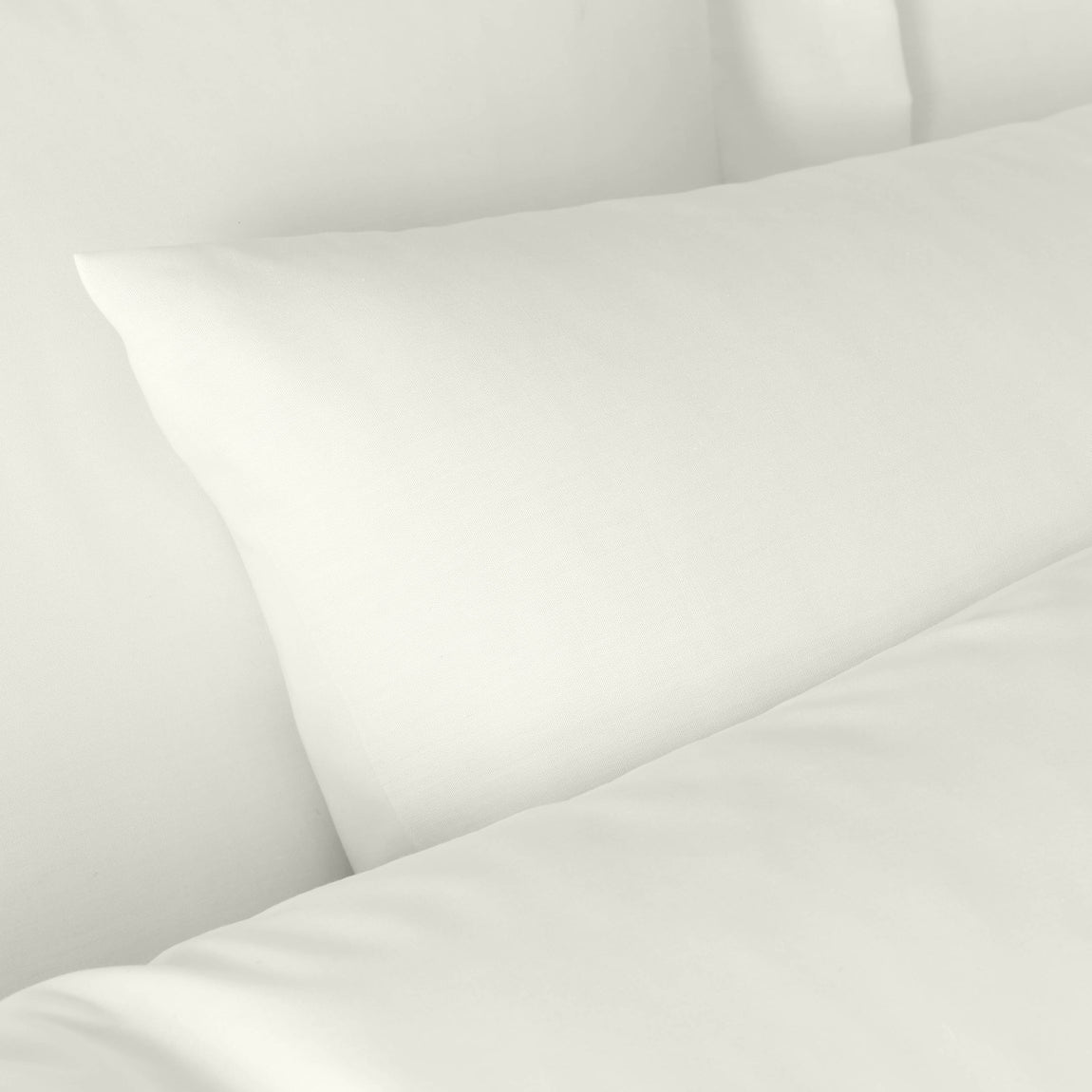 Bianca 180 Thread Count Egyptian Cotton Pillowcase Cream