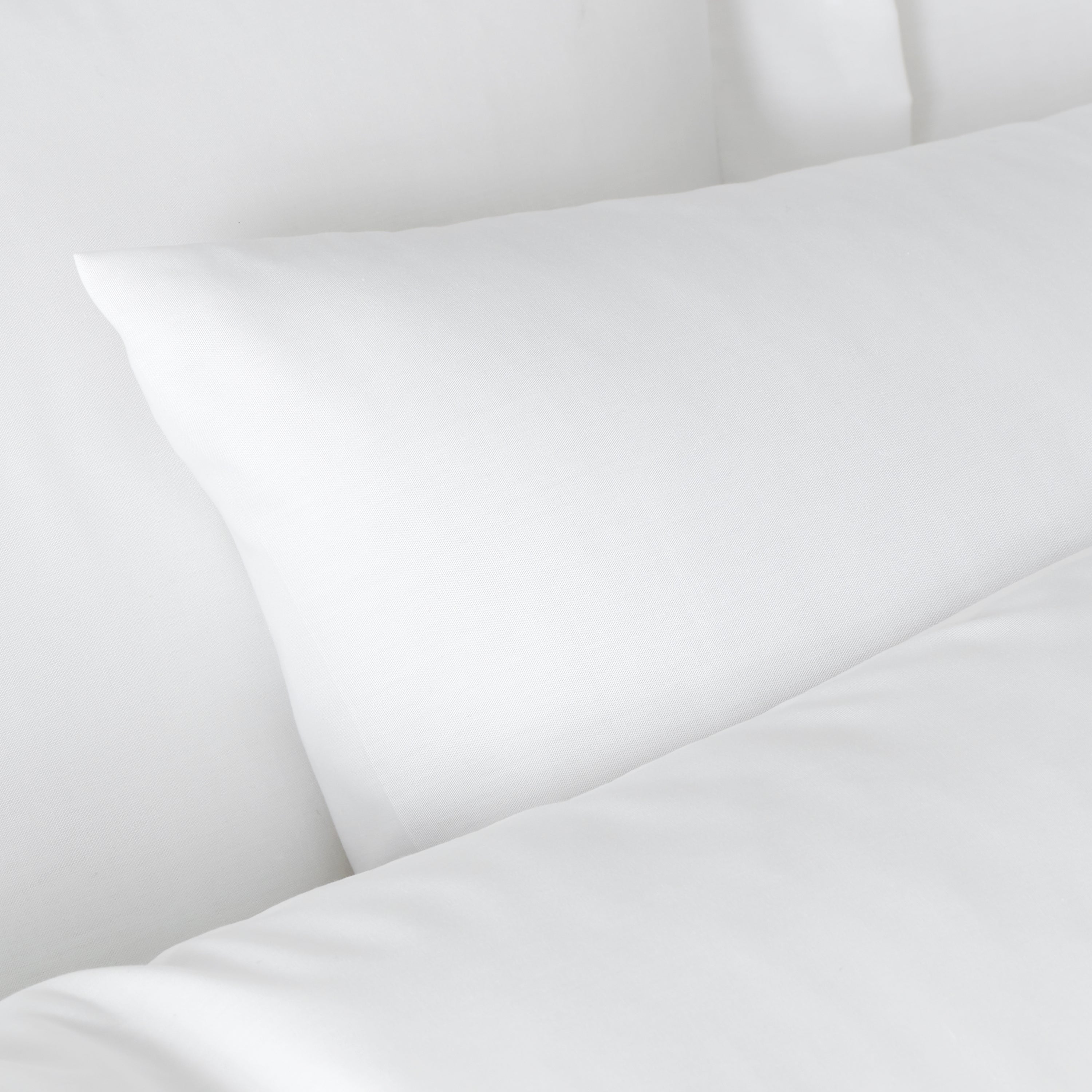 180 Thread Count White Bianca 180 Thread Count Egyptian Cotton Pillowcase | Terrys