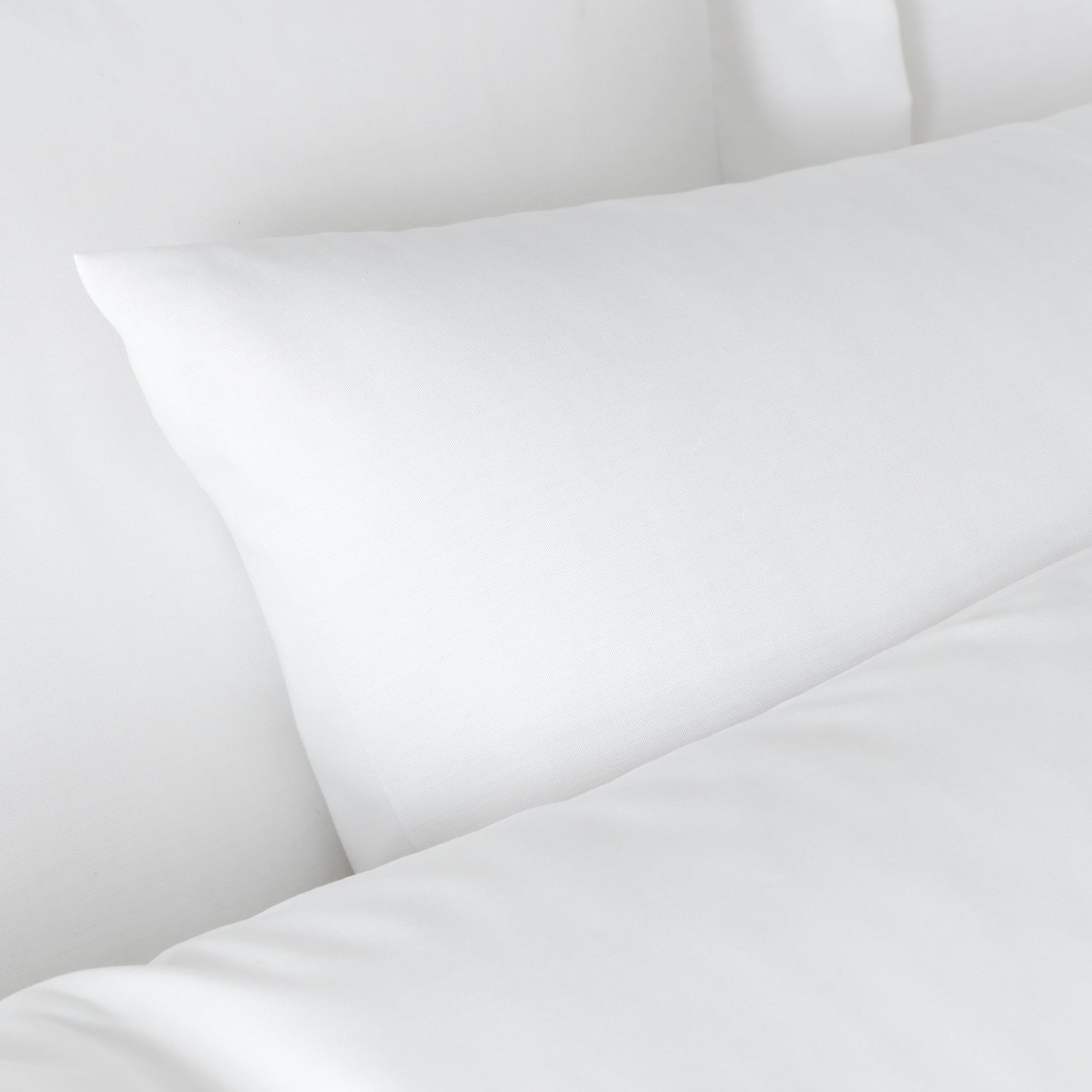 Bianca 180 Thread Count Egyptian Cotton Pillowcase White