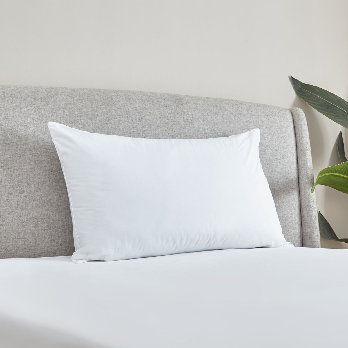 Catherine Lansfield Cotton Spring 48cm x 74cm Pillow White