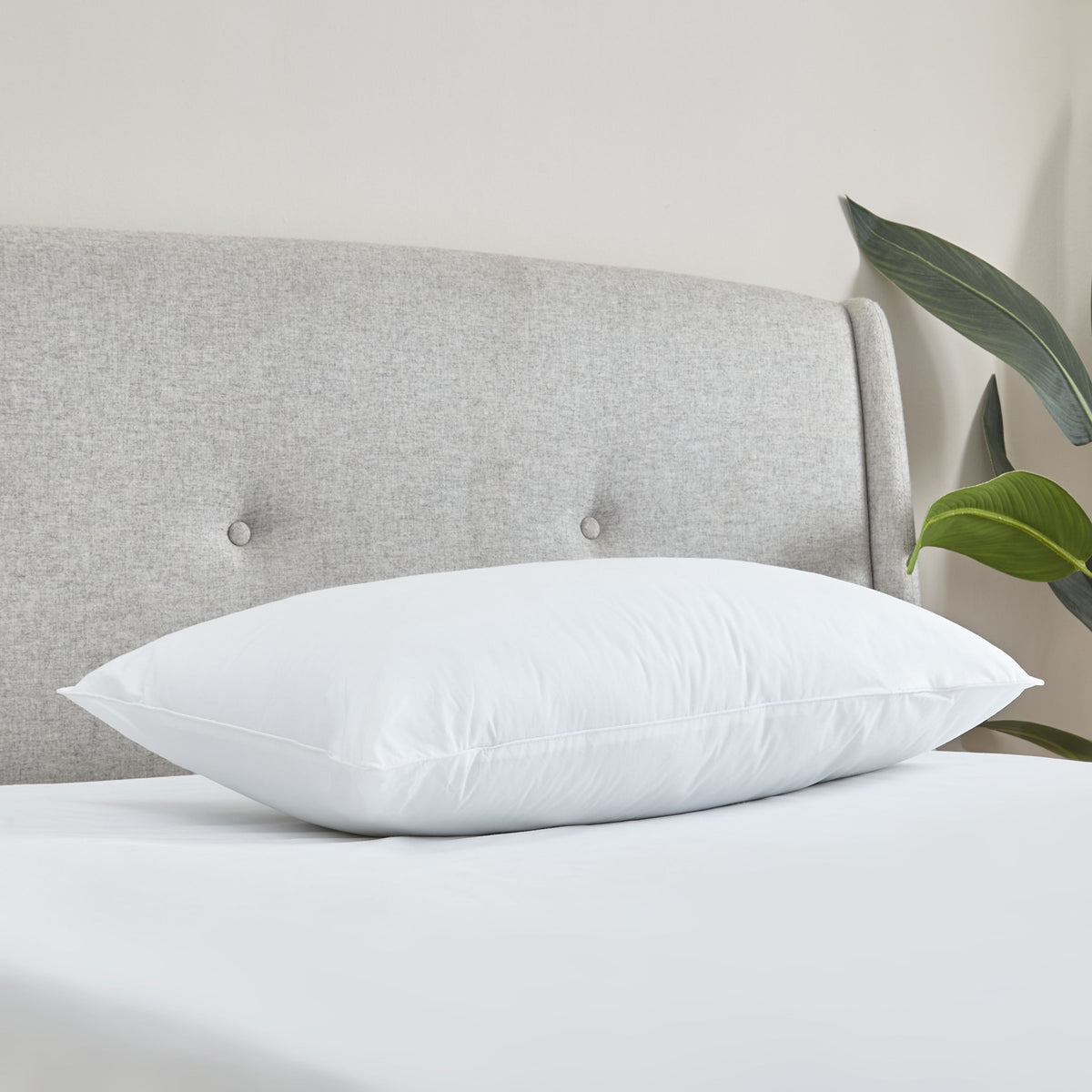 Catherine Lansfield Cotton Spring 48cm x 74cm Pillow White