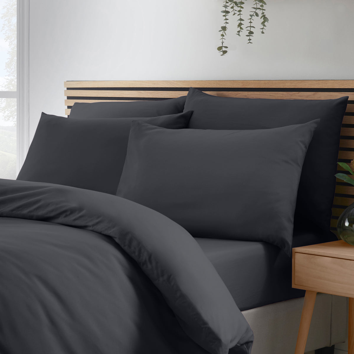 Catherine Lansfield So Soft Non Iron 4 Pack of Housewife Pillowcases Black