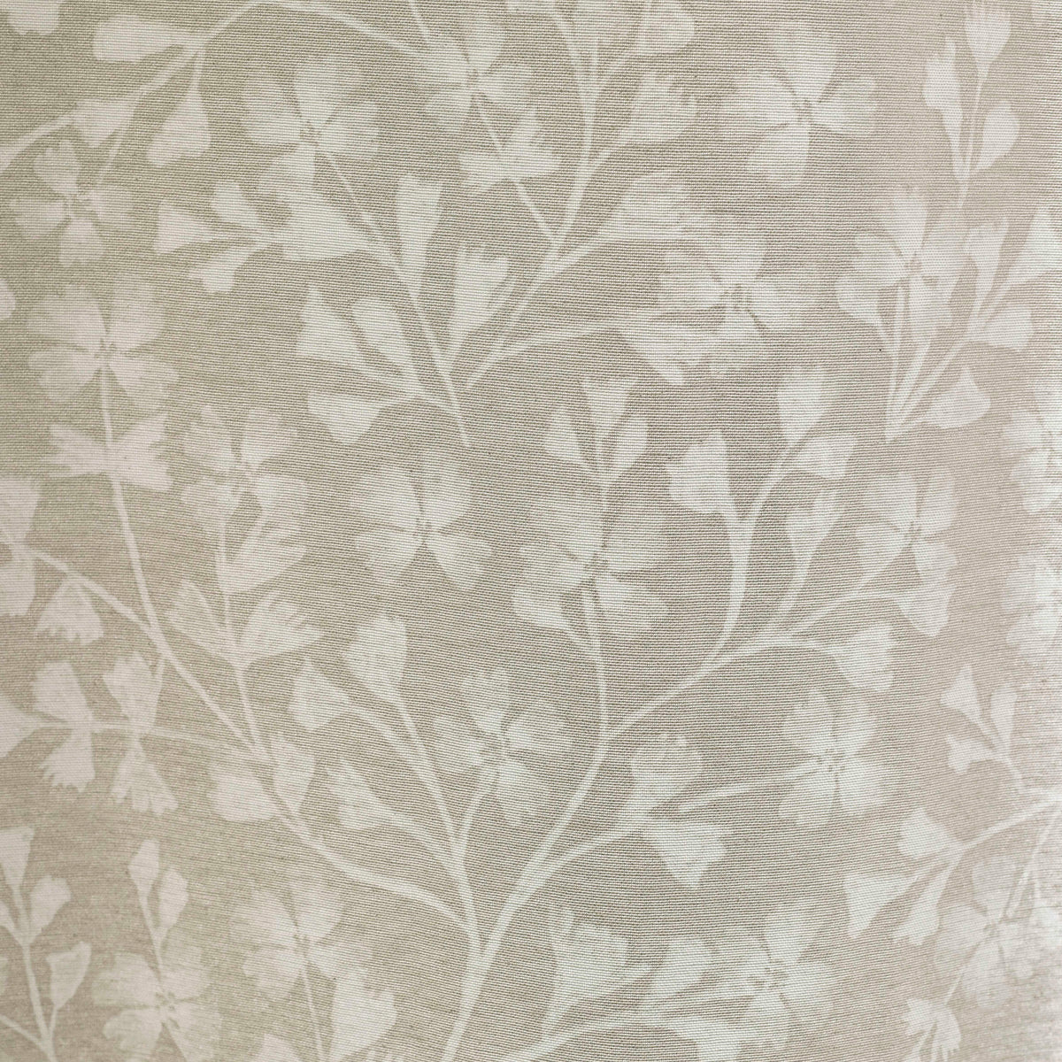 Catherine Lansfield Brooke Floral Ready Made Eyelet Curtains Natural