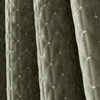 Bianca Attica Velvet Ready Made Eyelet Blackout Curtains Green