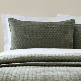 Bianca Attica Velvet Pillow Protector Green