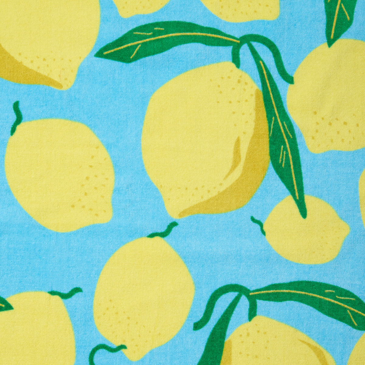 Catherine Lansfield Lemons Deck Chair Hood Beach Towel Aqua