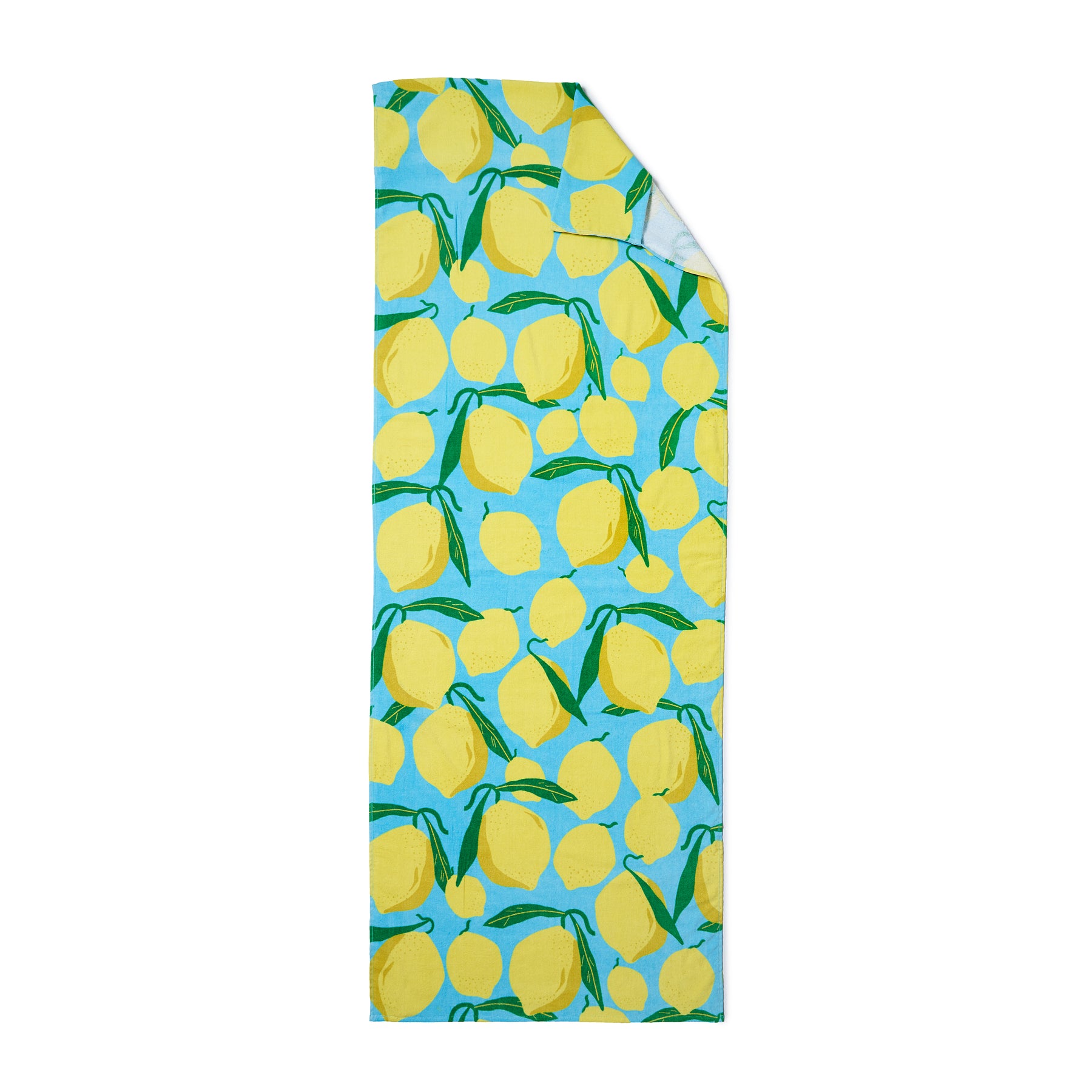 Catherine Lansfield Lemons Deck Chair Hood Beach Towel Aqua