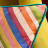 Sophie Robinson Darling Ditsy 30cm x 50cm Filled Boudoir Bright