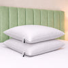 Bianca 100% Cotton 180 TC Anti-Allergy Pair of Pillows White