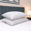 Bianca Premium Cotton Pair of Pillows White