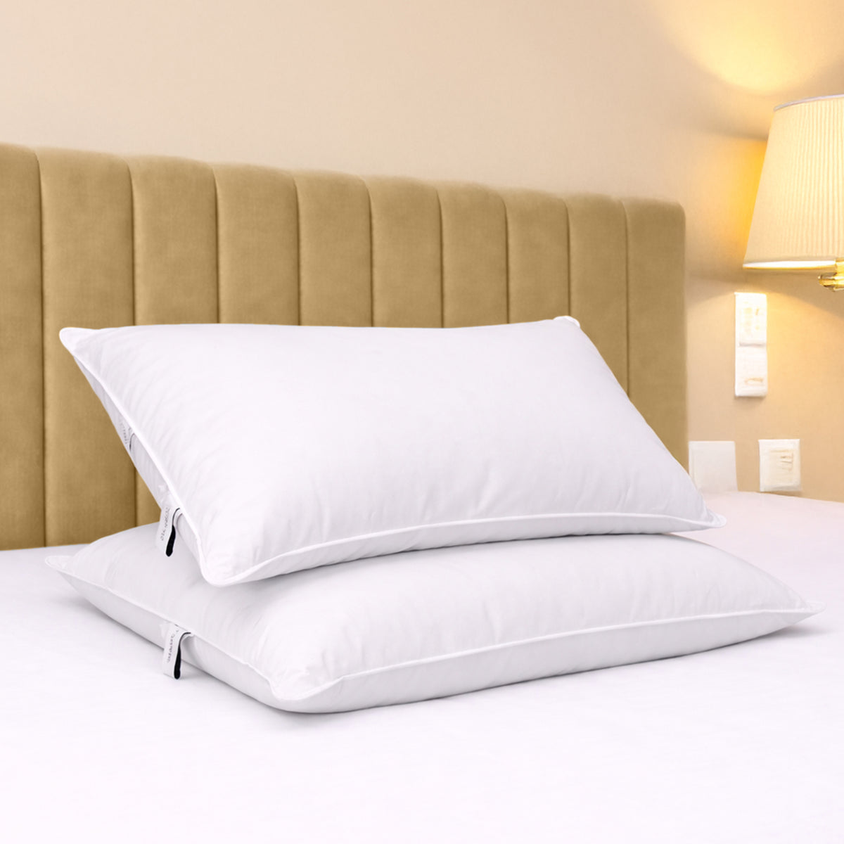 Bianca Luxury Goose Down Pair of Pillows White