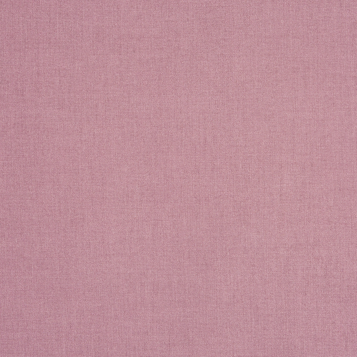 Prestigious Textiles Saxon Fabric Petunia